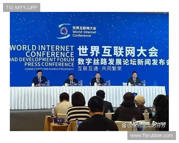 聚焦DOTA2FPX团队协作的成功秘诀与挑战分析