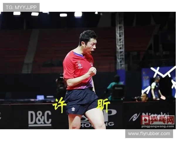 西安网球队防反战术解析与深度剖析网球竞技的魅力与技巧