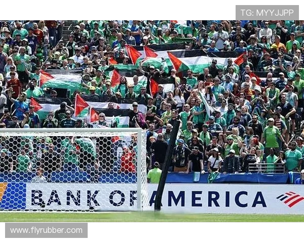 西雅图海湾人对阵奥队精彩对决预告与赛前分析 西雅图海湾人对阵奥队精彩对决预告与赛前分析