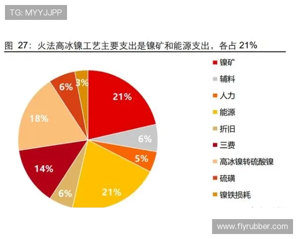 重庆排球队实力大变革引发热议展望未来发展新篇章