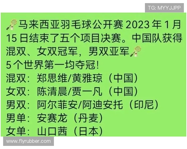 南京羽毛球队在全国羽毛球意识排行榜中荣获第五名的佳绩分析