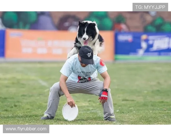 成都飞盘队在极限运动世界杯积分榜中以73分稳居第一名引发关注